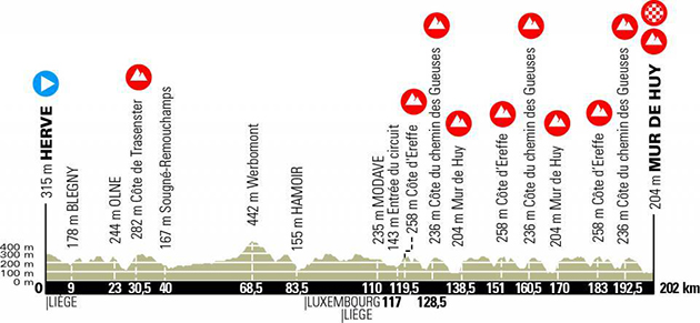 Fleche Wallonne profile