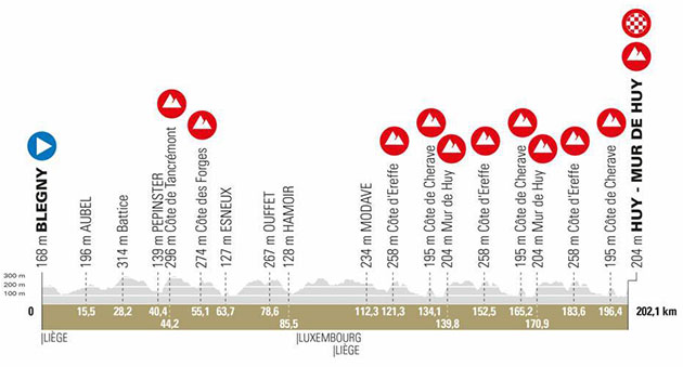 2022-Fleche Wallone profile