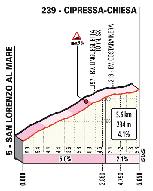 Cipressa profile