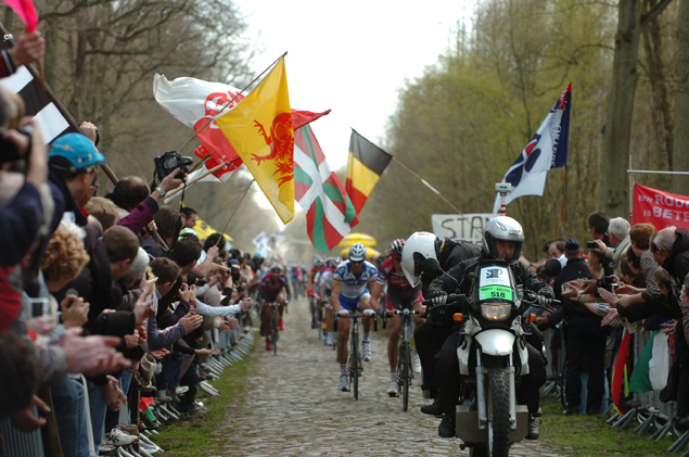 Arenberg Forest