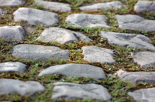 Arenberg cobbles