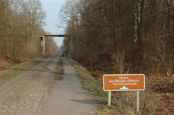 Arenberg Forest