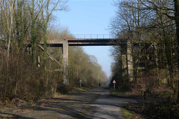 More Arenberg