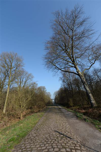 The Arenberg