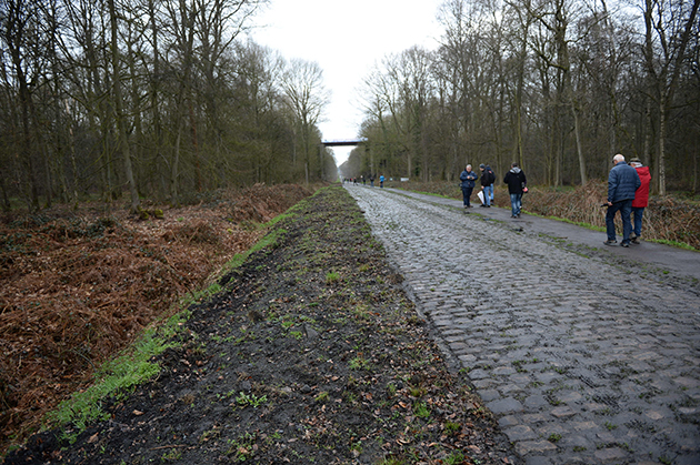 Arenberg sector