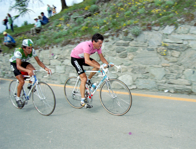 Stephen Roche in pink