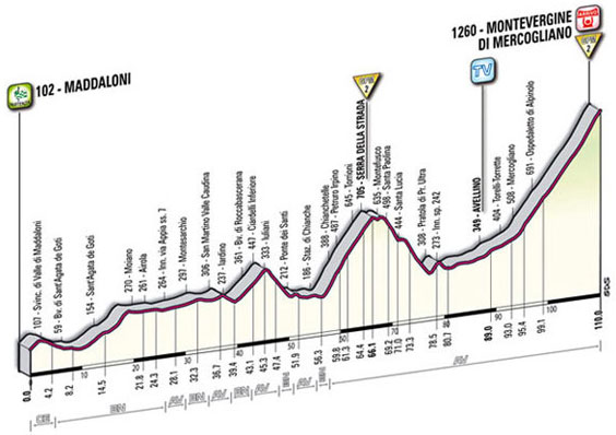 Stage 7 profile