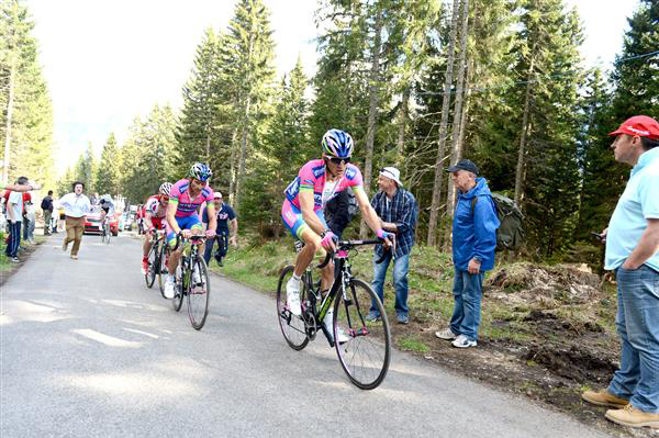 Niemiec and Scarponi