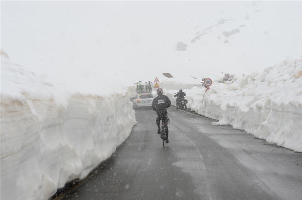 Gavia pass