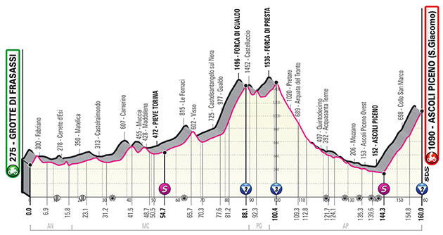 Stage 6 profile