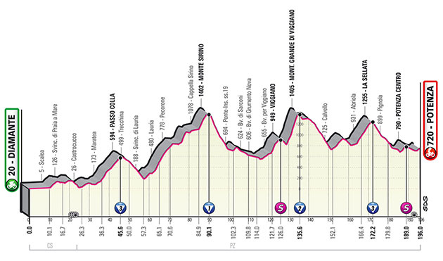 Stage 7 profile