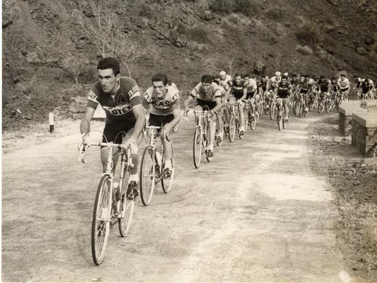 Bitossi in the 1967 Giro