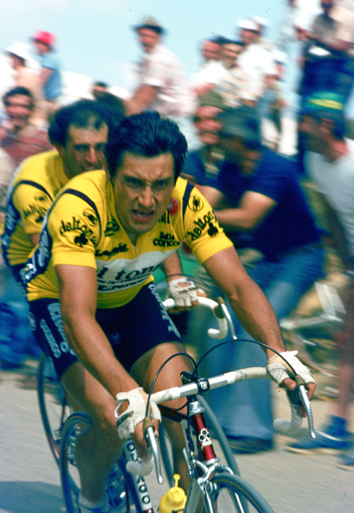 Saronni racing stage 17 of the 1982 Giro d'Italia