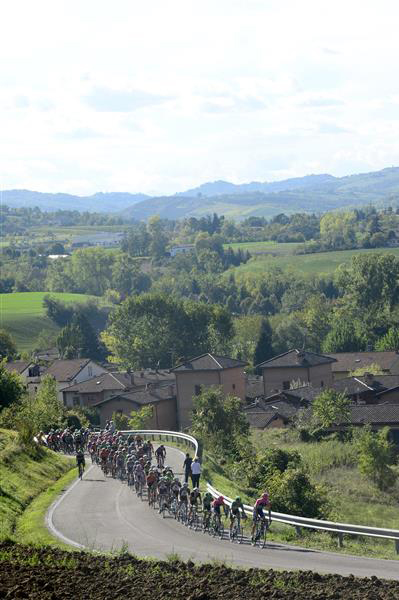 Peloton on Zappolino