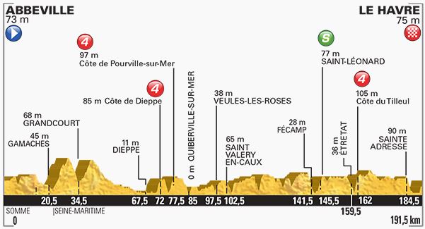 Stage 6 profile