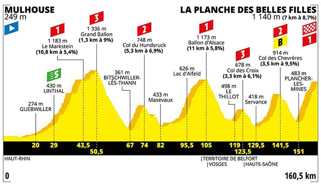 Stage 6 profile