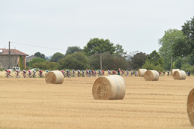 Peloton