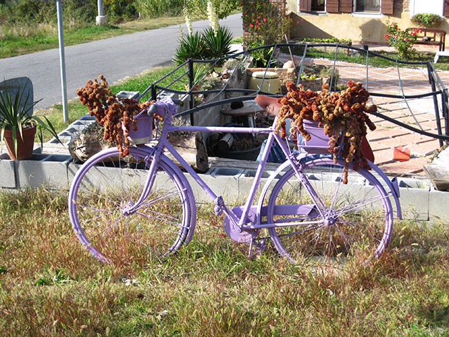 Purple Bike