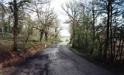 Road near Montepulciano