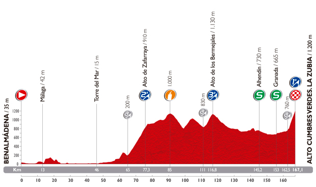 Stage 6 profile